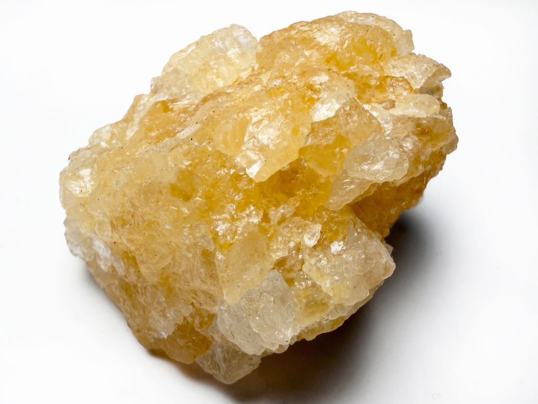 ブラジル産 ゴールデンヒーラー / Golden Healer