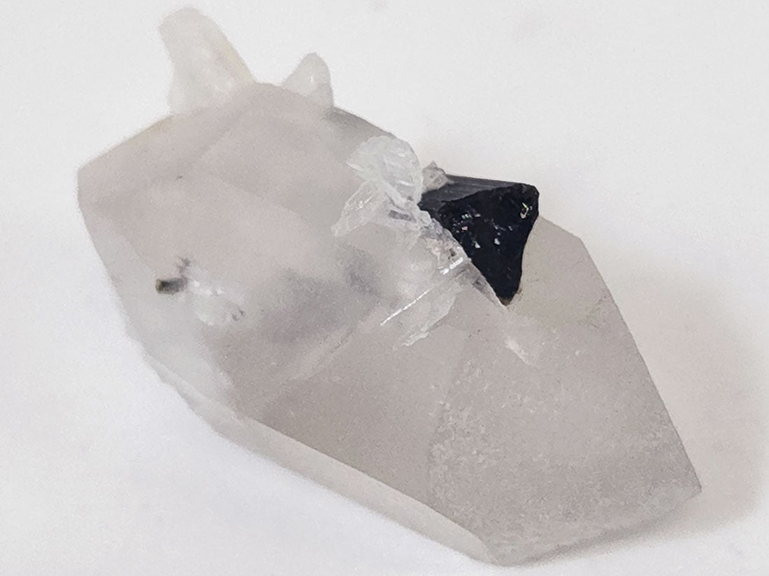 アフガニスタン産バイカラートルマリン/Bicolor Tourmaline (リチア電気石)