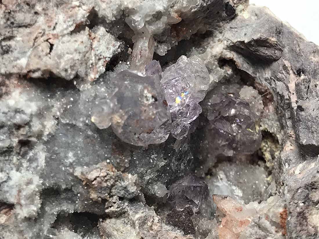 皇帝アメジスト スライス 皇帝アメジスト スライス 皇帝アメジスト