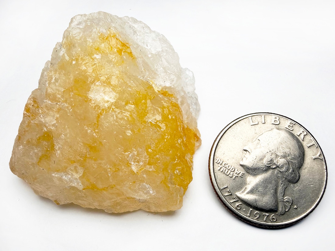 ブラジル産 ゴールデンヒーラー / Golden Healer