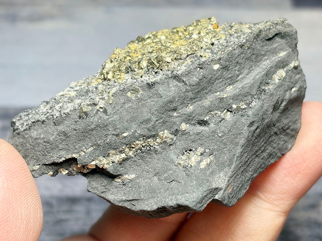 ブラジル産 パイライト on シュンガイト / Pyrite on Shungite
