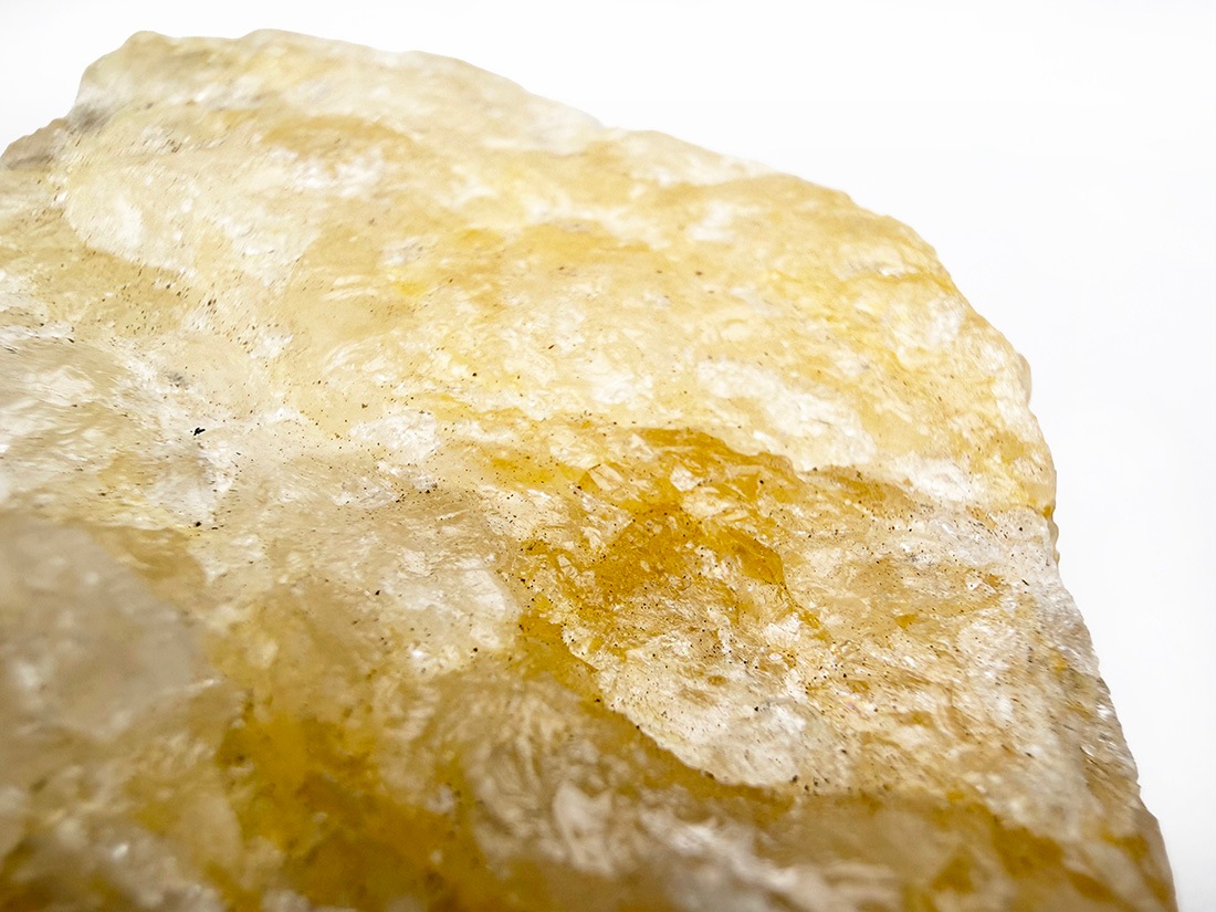 ブラジル産 ゴールデンヒーラー / Golden Healer