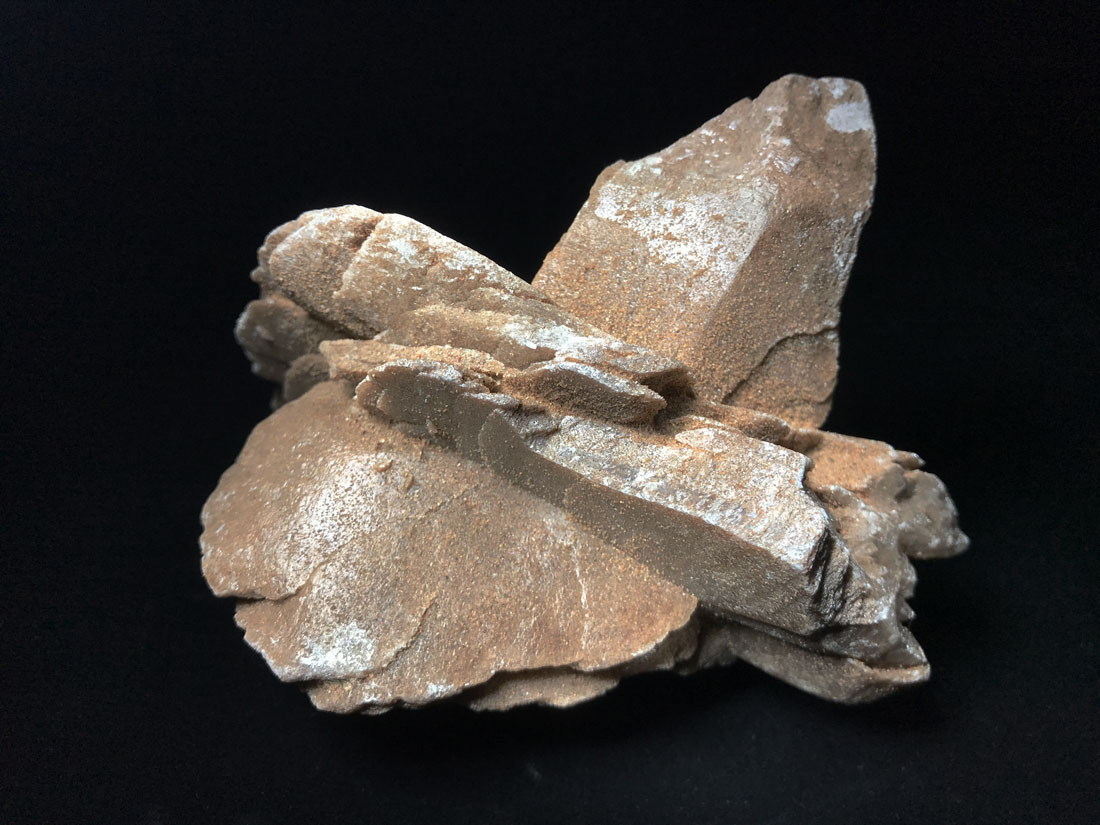 内モンゴル産デザートローズ(砂漠のバラ)/Desert Rose(Gypsum)