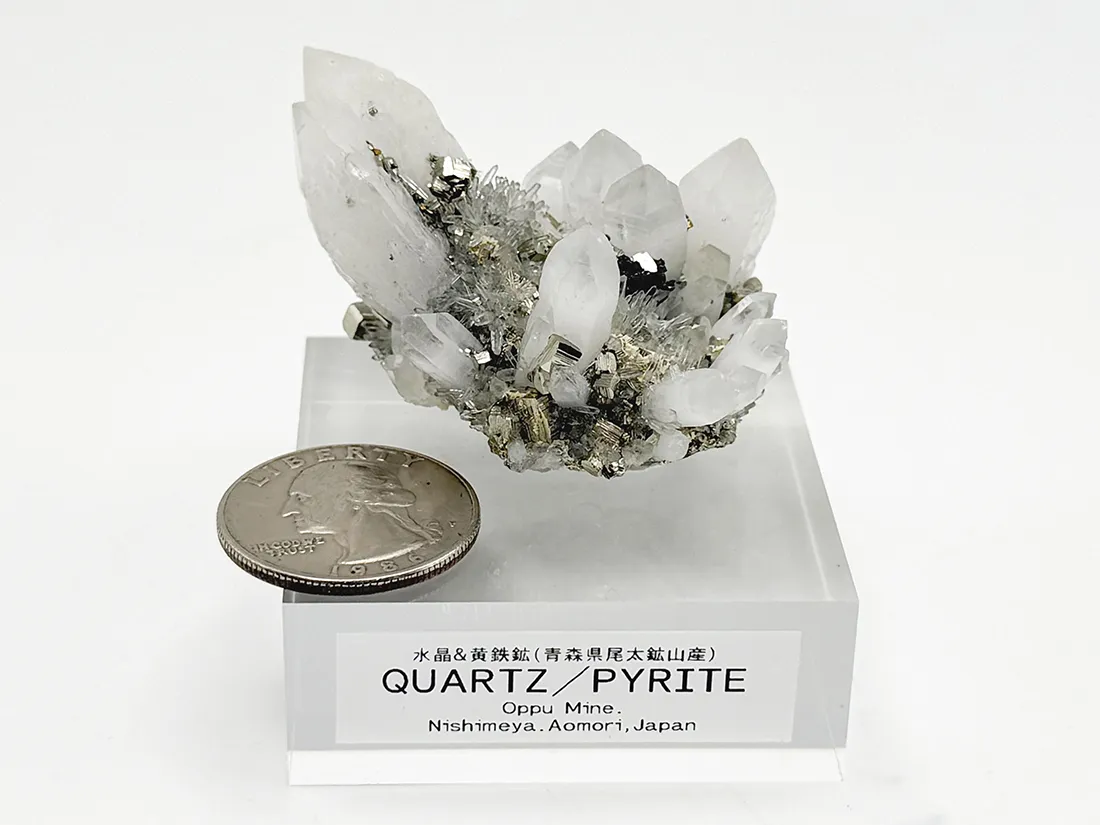 青森県尾太鉱山産 水晶 ＆ 黄鉄鉱 / Quartz&Pyrite