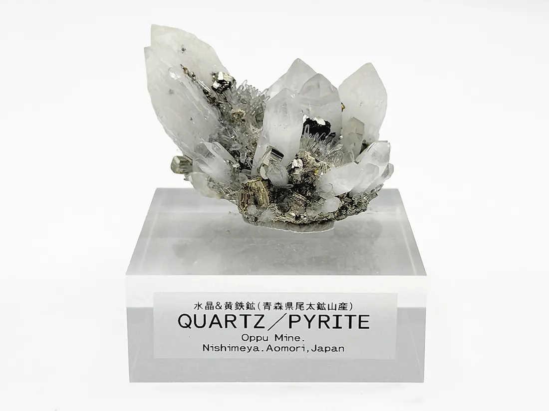 青森県尾太鉱山産 水晶 ＆ 黄鉄鉱 / Quartz&Pyrite