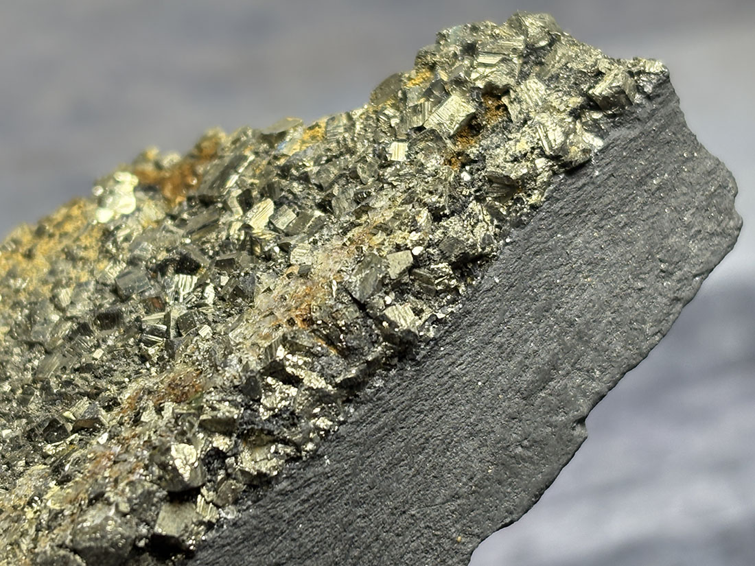 ブラジル産 パイライト on シュンガイト / Pyrite on Shungite