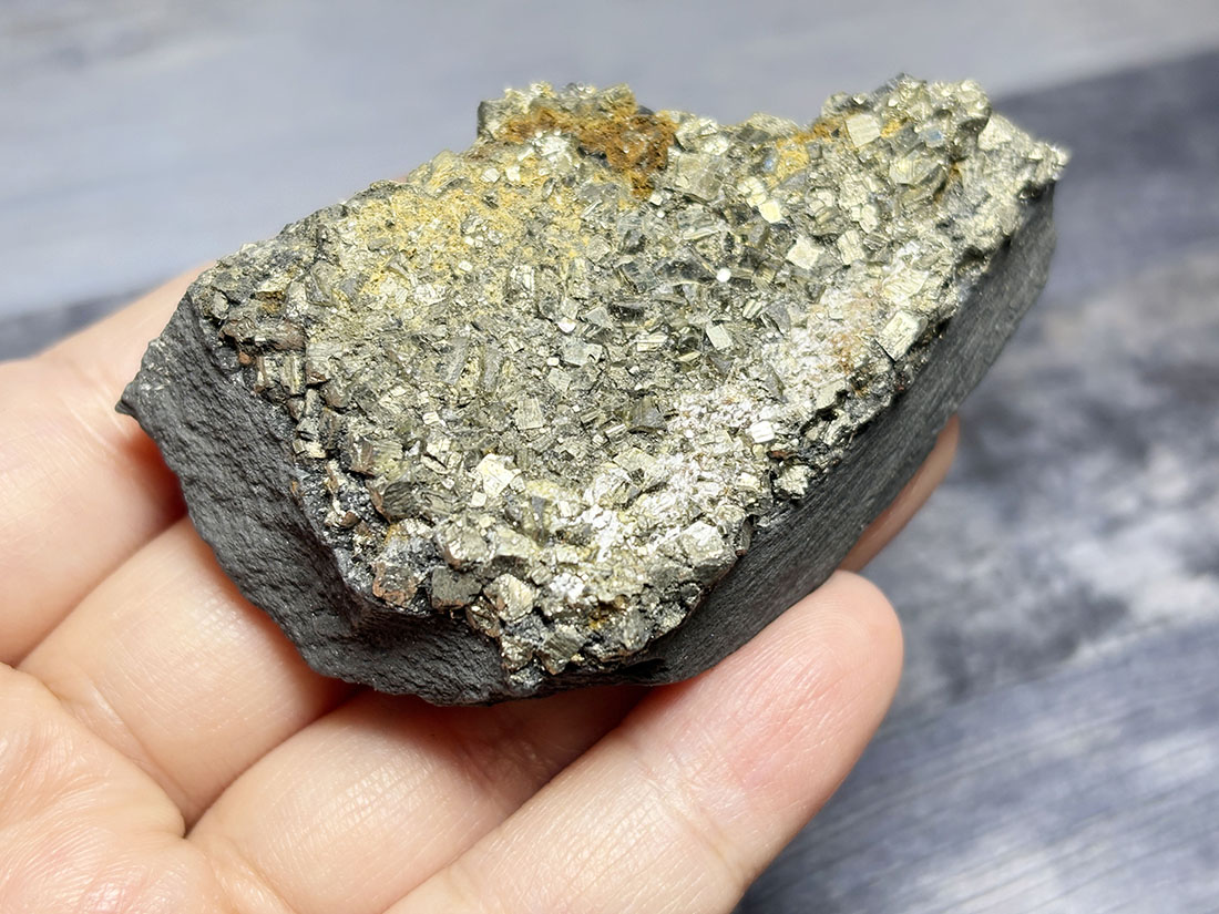 ブラジル産 パイライト on シュンガイト / Pyrite on Shungite