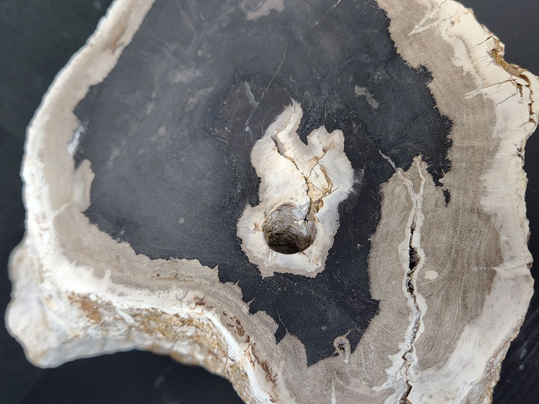 マダガスカル産ペトリファイドウッド