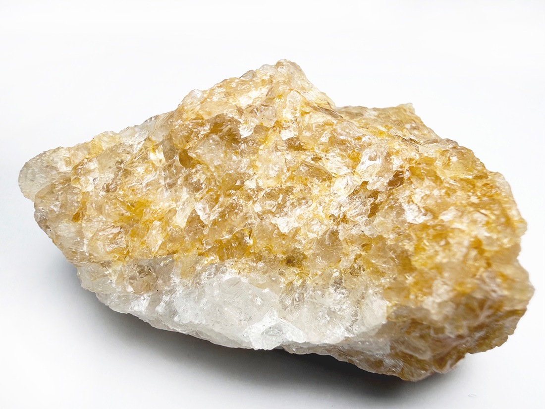 ブラジル産 ゴールデンヒーラー / Golden Healer