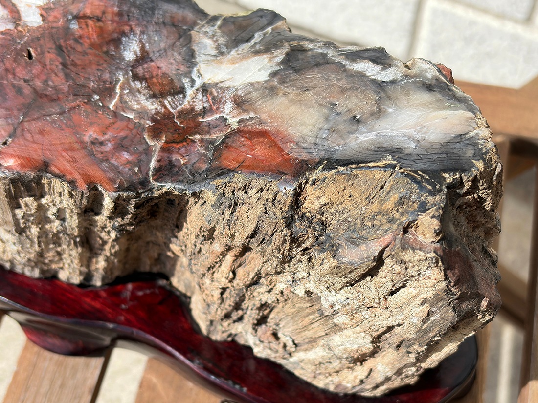 アリゾナ州産 ペトリファイドウッド 台座付き ( 珪化木 ) / Petrified wood