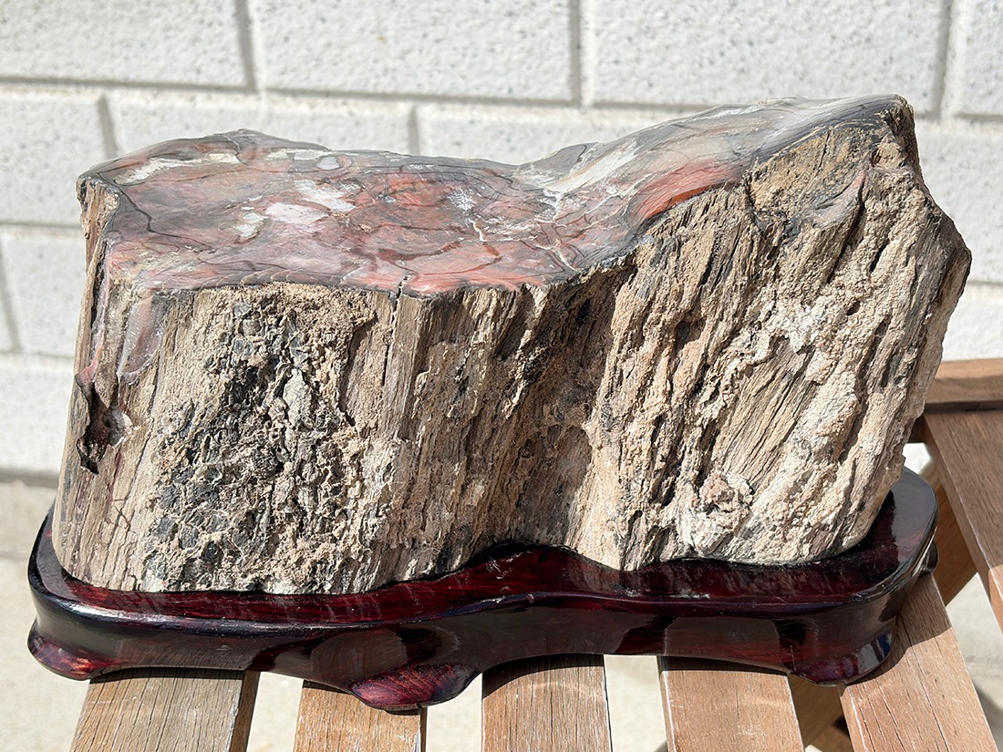アリゾナ州産 ペトリファイドウッド 台座付き ( 珪化木 ) / Petrified wood