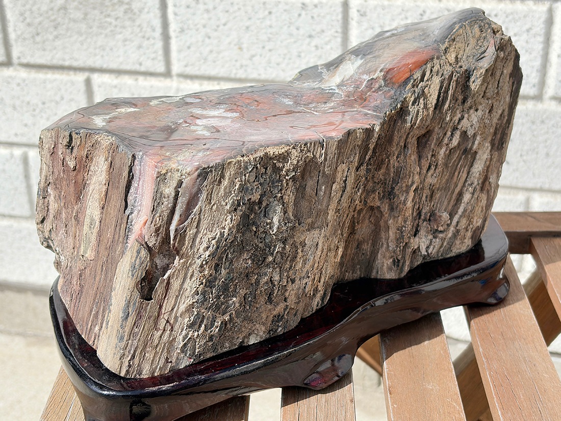 アリゾナ州産 ペトリファイドウッド 台座付き ( 珪化木 ) / Petrified wood