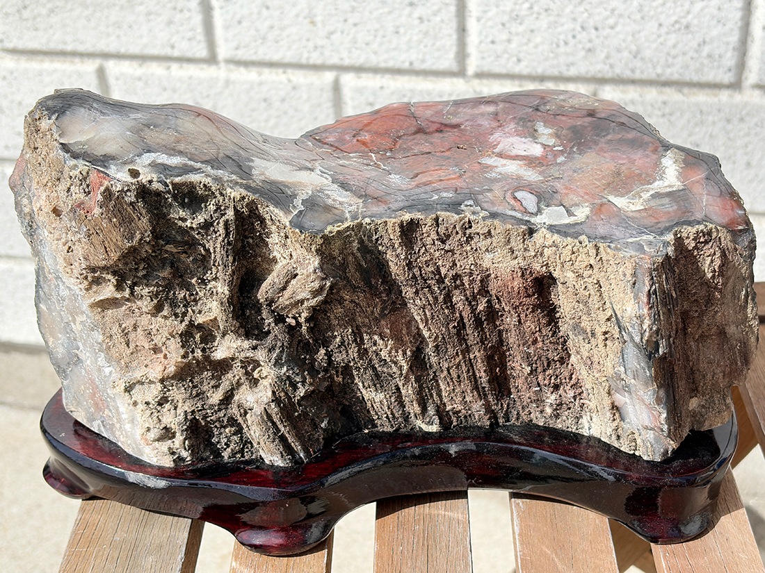 木が石になった置物 アリゾナ州産 ペトリファイドウッド 台座付き ( 珪化木 ) / Petrified wood