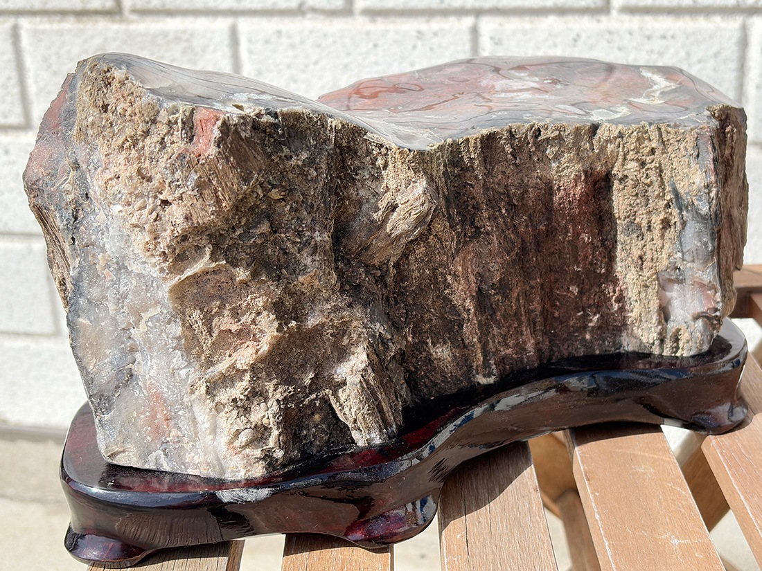 アリゾナ州産 ペトリファイドウッド 台座付き ( 珪化木 ) / Petrified wood