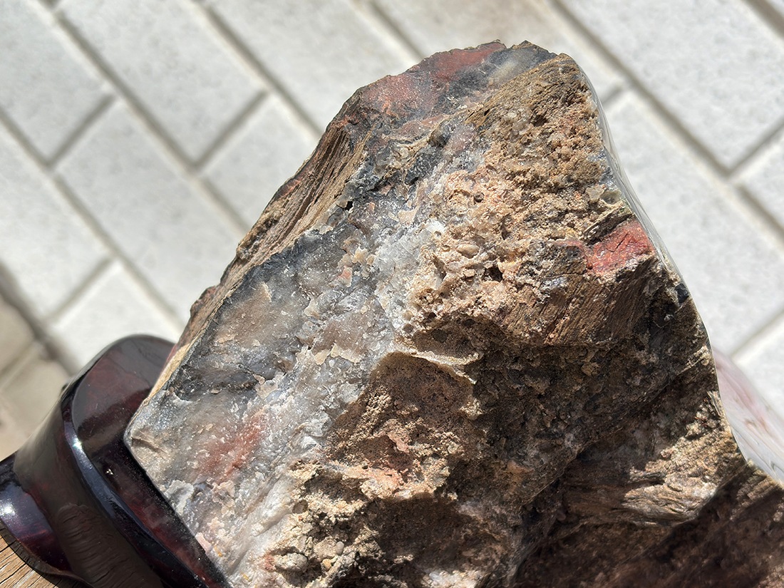 アリゾナ州産 ペトリファイドウッド 台座付き ( 珪化木 ) / Petrified wood