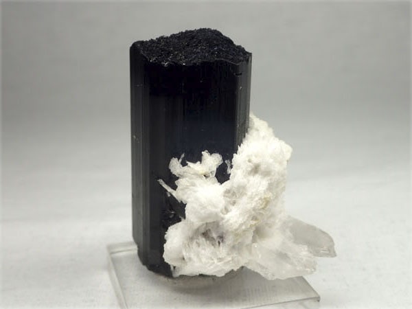 鉄電気石(ショール) パキスタン産 パキスタン産 ショール/Schorl (鉄電気石)