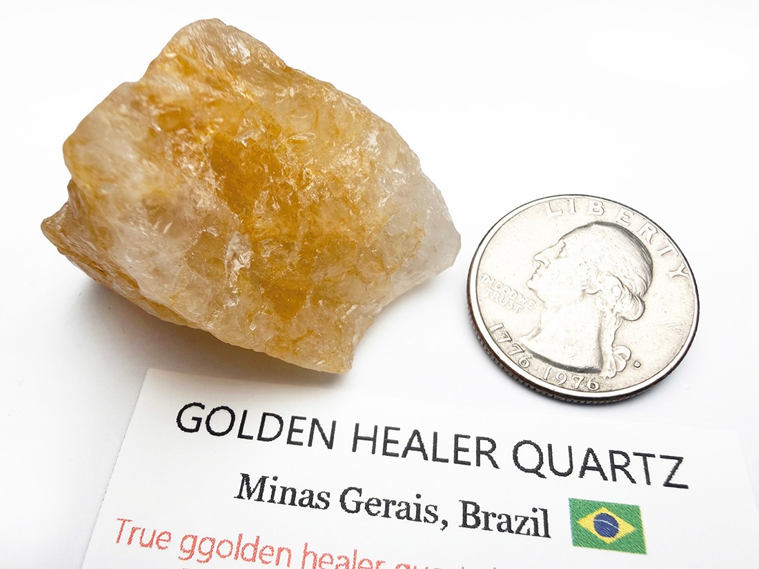 ブラジル産 ゴールデンヒーラー / Golden Healer