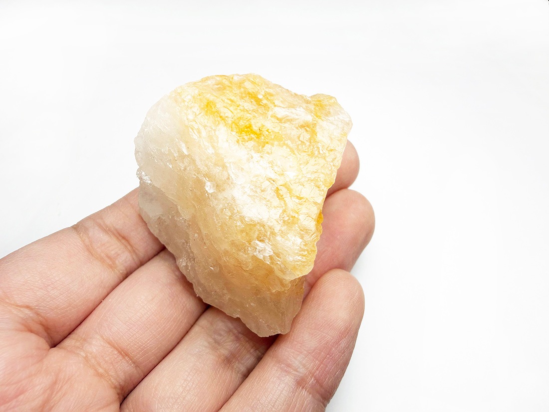 ブラジル産 ゴールデンヒーラー / Golden Healer