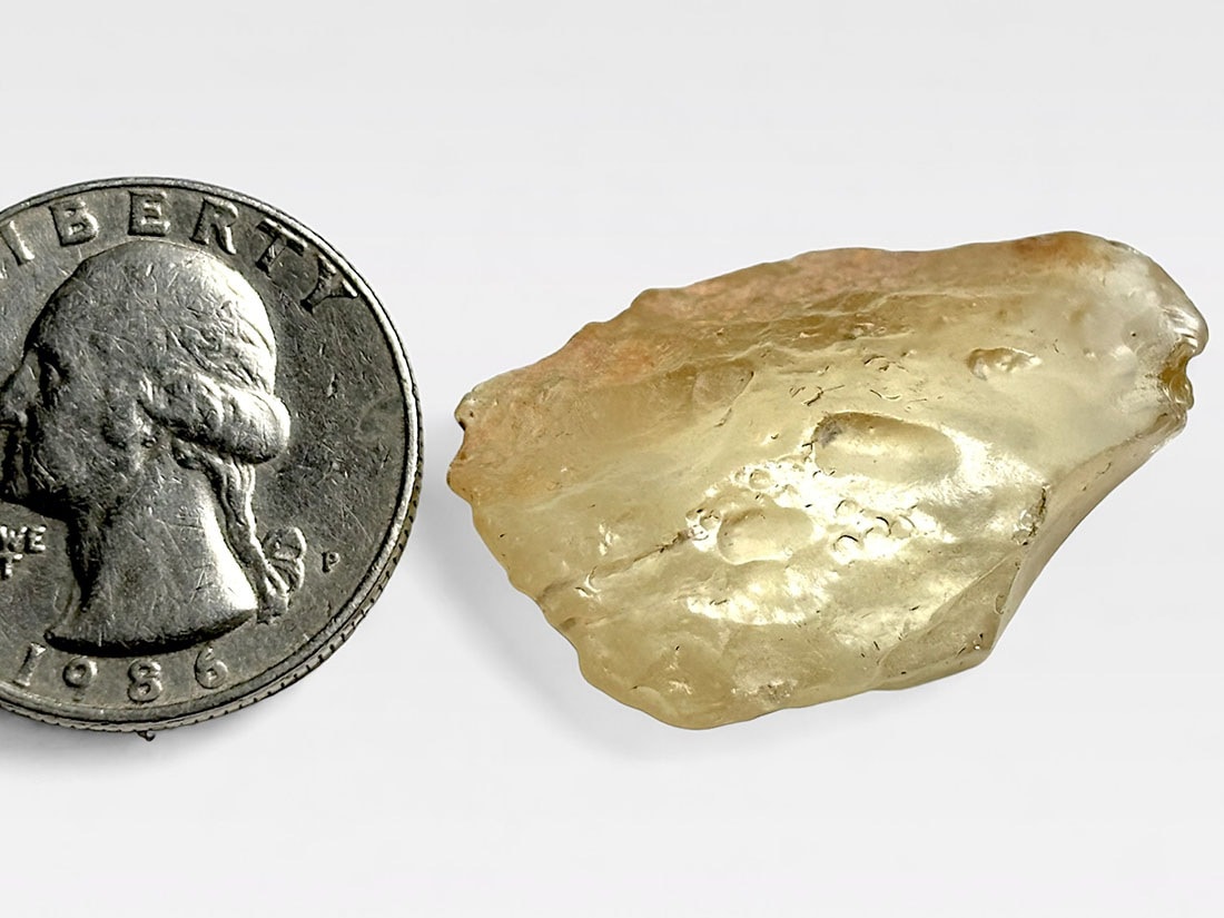 エジプト産リビアングラス