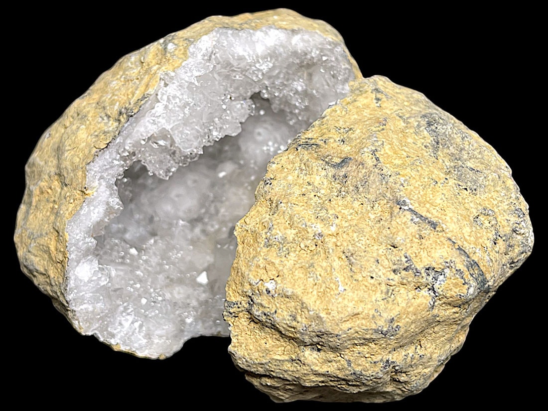 美品！モロッコjorf 半透明を含むStruveaspisの群生　希少　化石 美品！モロッコjorf 半透明を含むStruveaspisの群生 希少 化石 - メルカリ