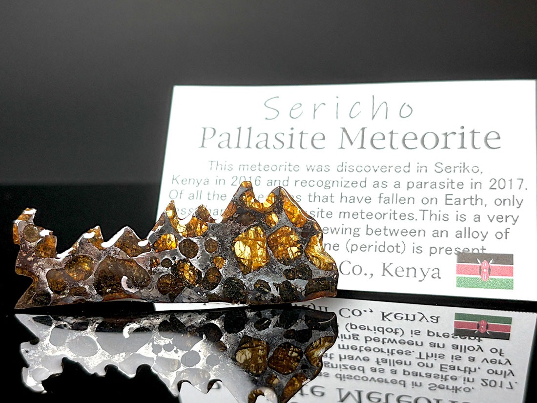パナケイア Panacea プラチナデザイン 磁気 yam ケニア産 セリコパラサイト隕石 / Sericho Pallasite Meteorite