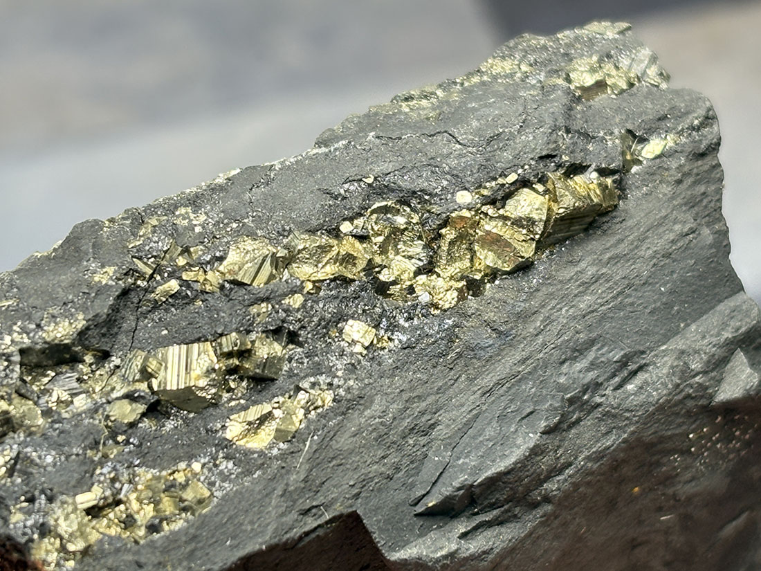 ブラジル産 パイライト on シュンガイト / Pyrite on Shungite