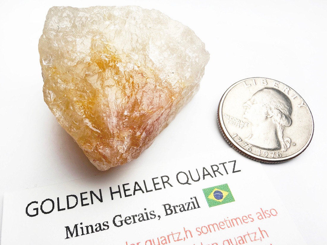 ブラジル産 ゴールデンヒーラー / Golden Healer