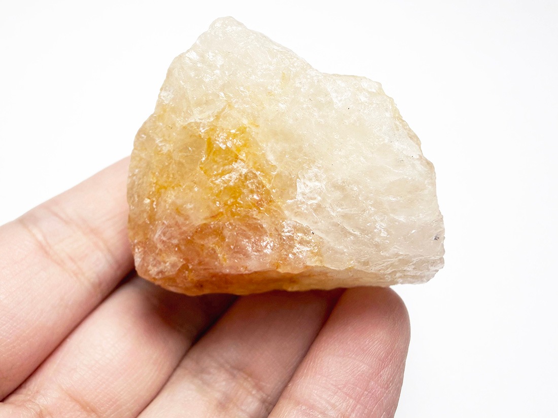 ブラジル産 ゴールデンヒーラー / Golden Healer