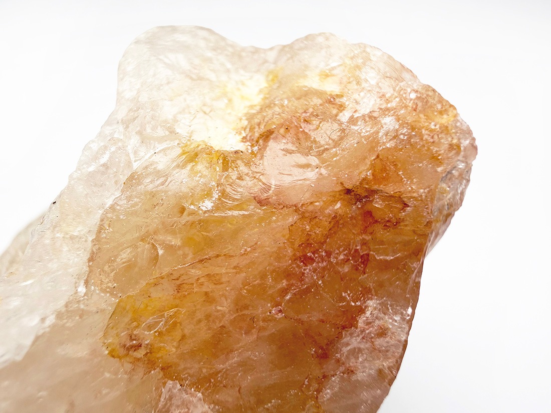 ブラジル産 ゴールデンヒーラー / Golden Healer