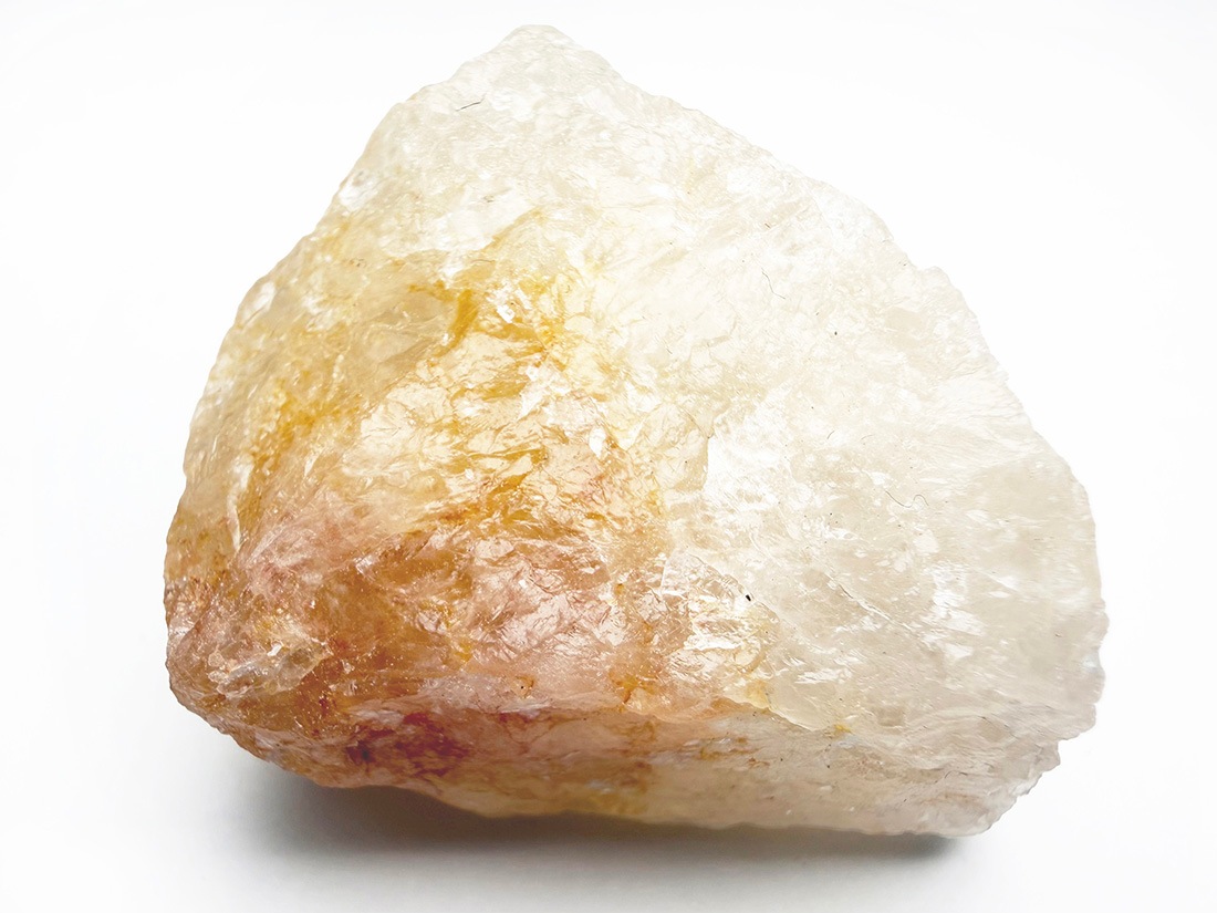 ブラジル産 ゴールデンヒーラー / Golden Healer