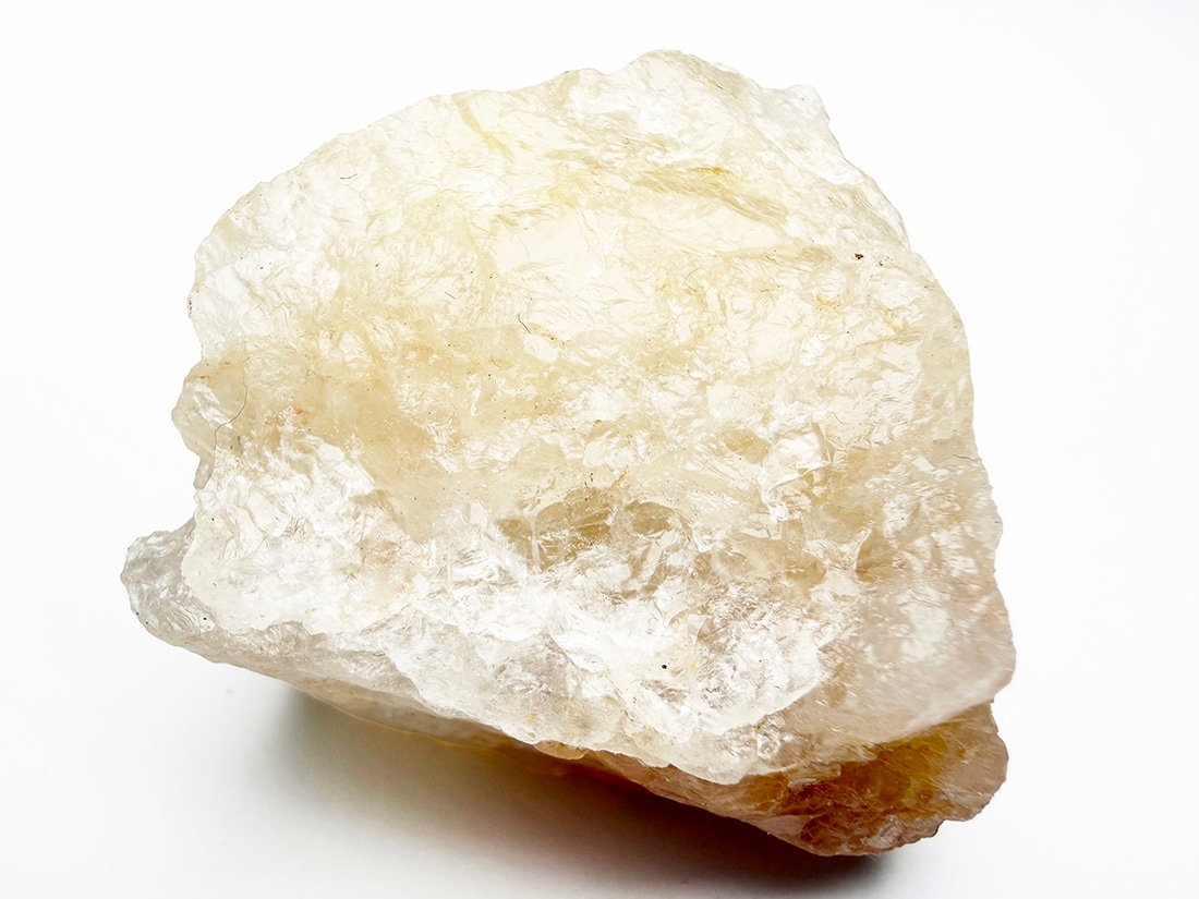 ブラジル産 ゴールデンヒーラー / Golden Healer