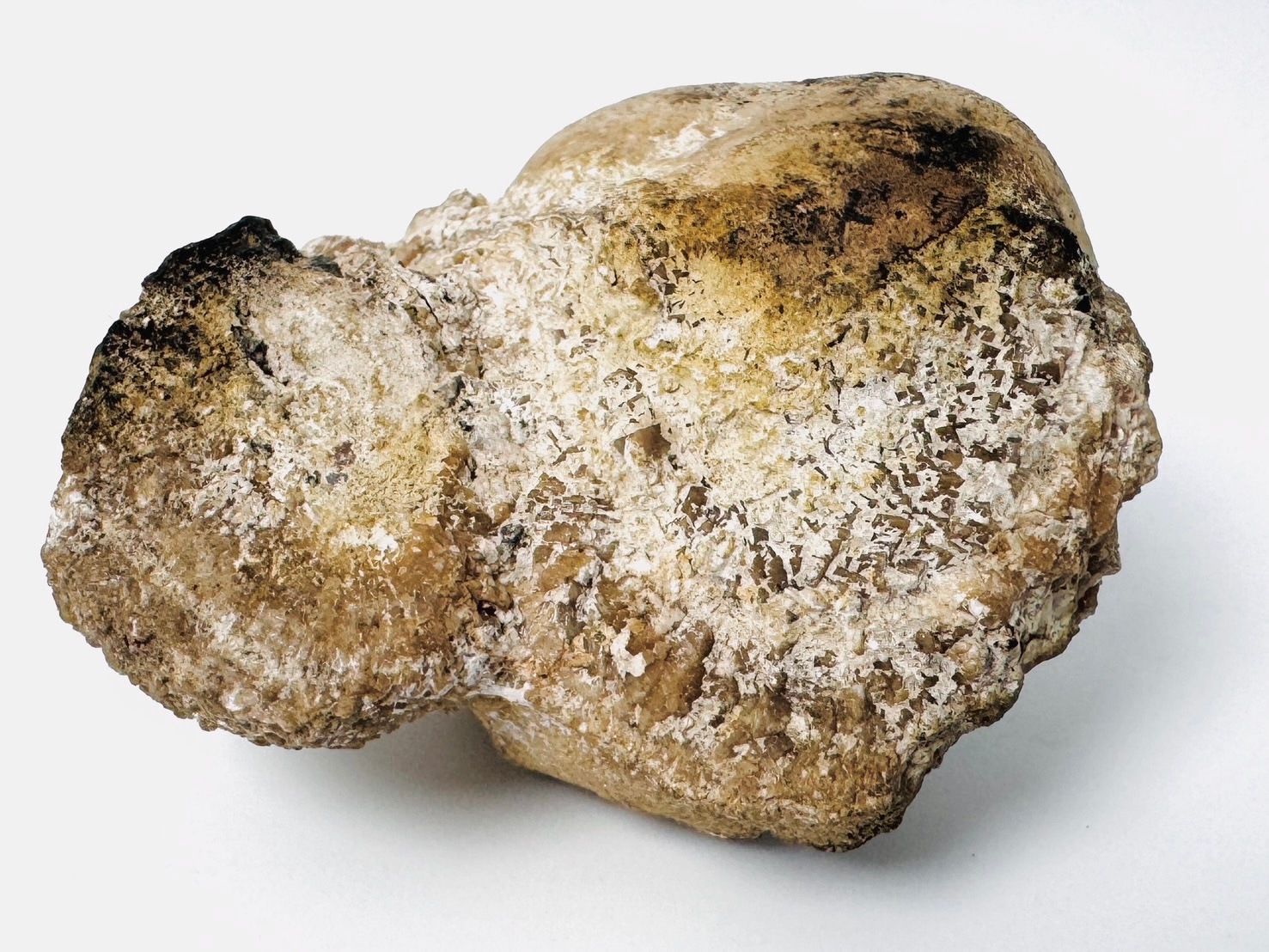 玉川温泉産 北投石 (含鉛重晶石) / Hokutolite