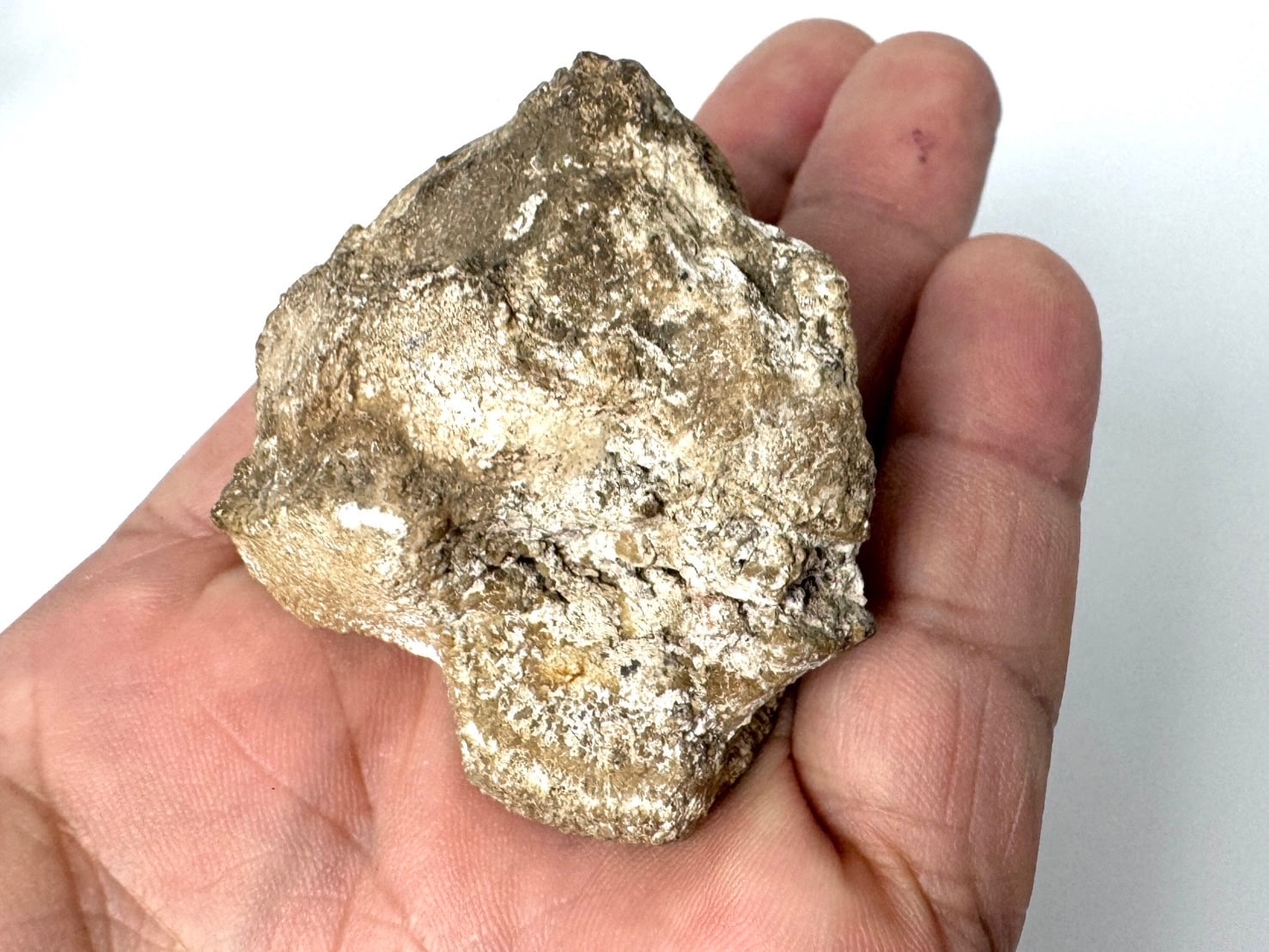玉川温泉産 北投石 (含鉛重晶石) / Hokutolite