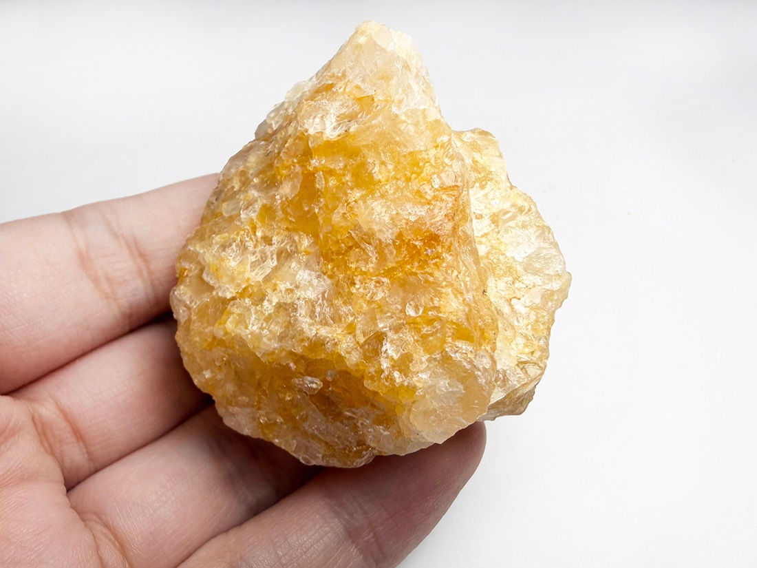 ブラジル産 ゴールデンヒーラー / Golden Healer