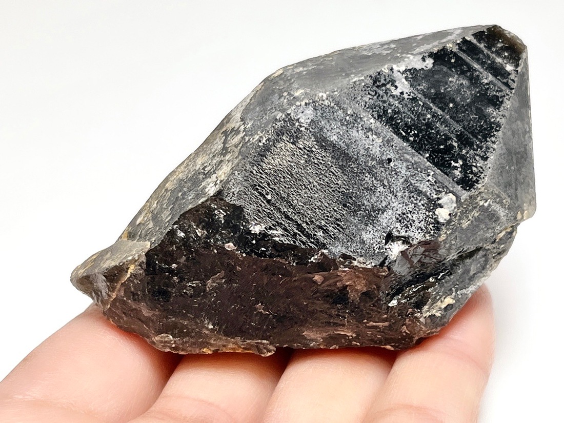 内モンゴル産 ナチュラルモリオン ポイント ( 黒水晶 )/ Natural Morion