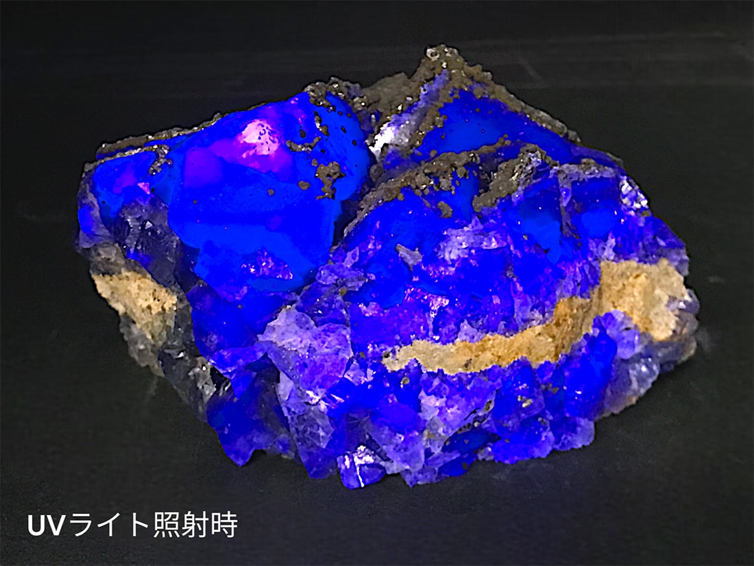 福建省産 フローライト (パイライト/マーカサイト共生) / Fluorite
