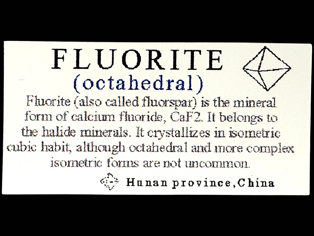 湖南省産 フローライト 八面体 / Fluorite ( 蛍石 )
