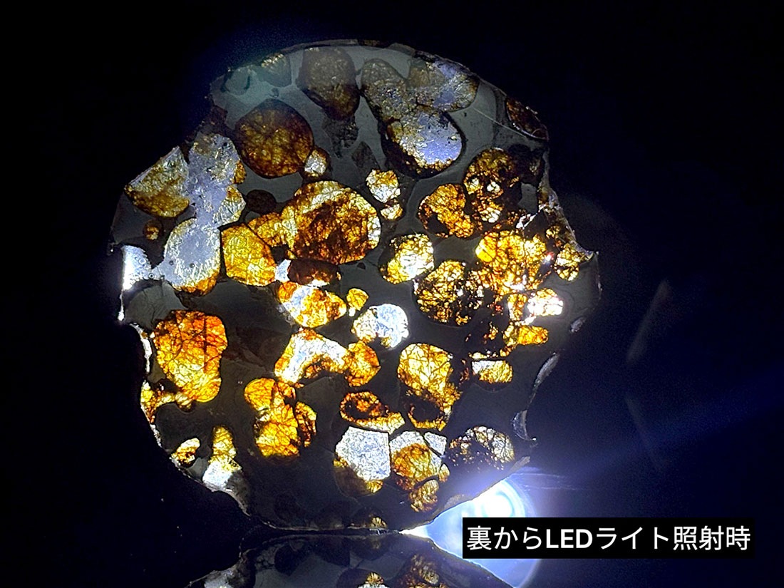 ケニア産 セリコパラサイト隕石 / Sericho Pallasite Meteorite