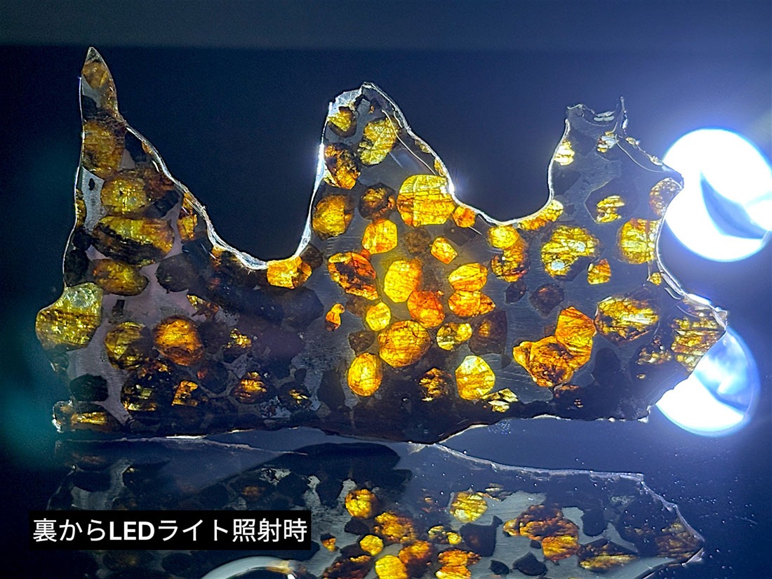 セリコ隕石 パラサイト隕石 スライス 標本 ケニア産 セリコパラサイト隕石 / Sericho Pallasite Meteorite