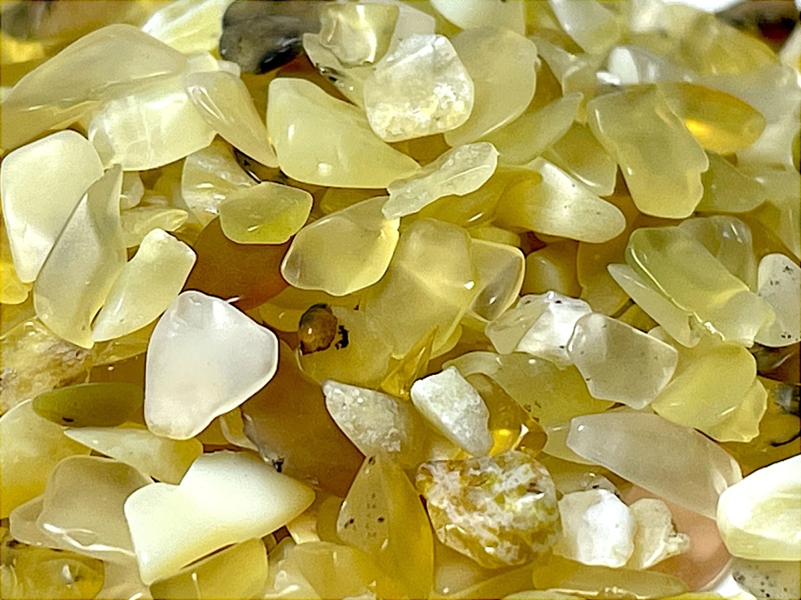 オーストラリア産の黄色いアラゴナイト オーストラリア産の黄色いアラゴナイト 【公式通販】