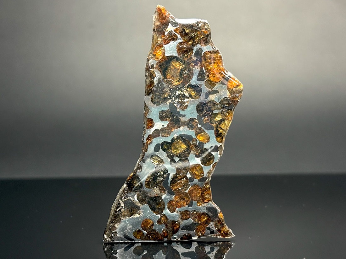 ケニア産 セリコパラサイト隕石 / Sericho Pallasite Meteorite