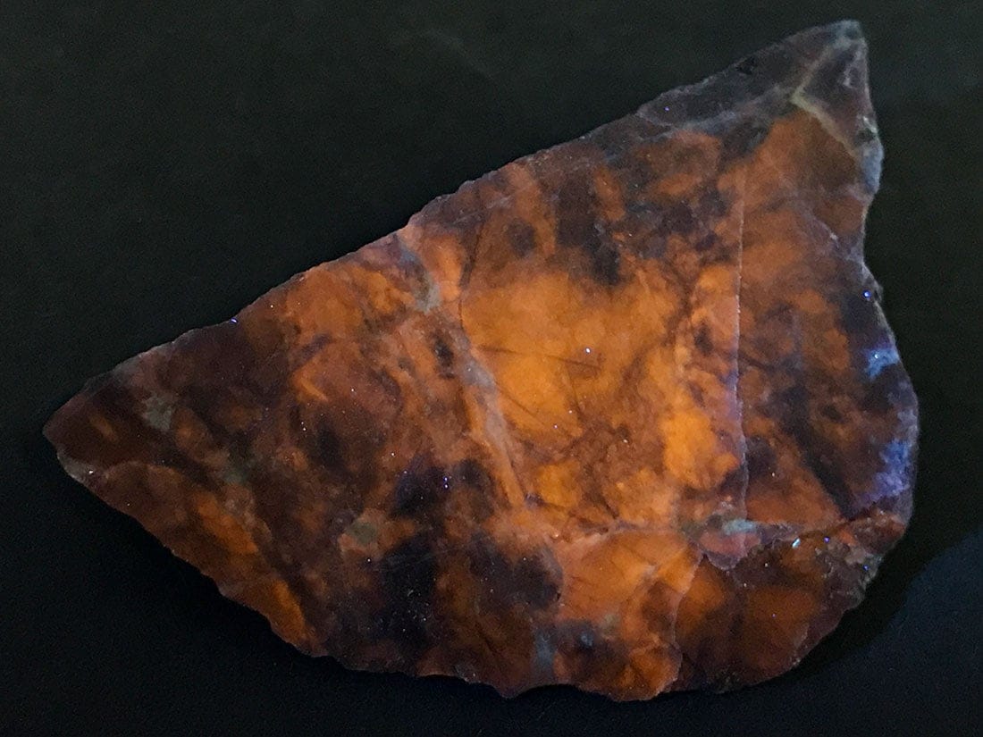 ソーダライト龍亀 × ミルキータンザナイト