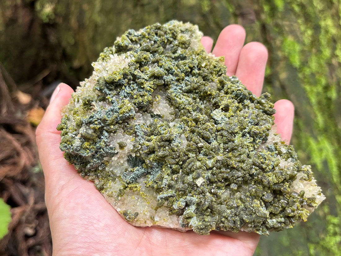 四川省産 エピドート ( 緑簾石 ) with 水晶 クラスター /Epidote with