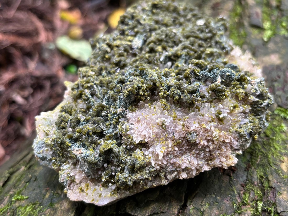 四川省産 エピドート ( 緑簾石 ) with 水晶 クラスター /Epidote with