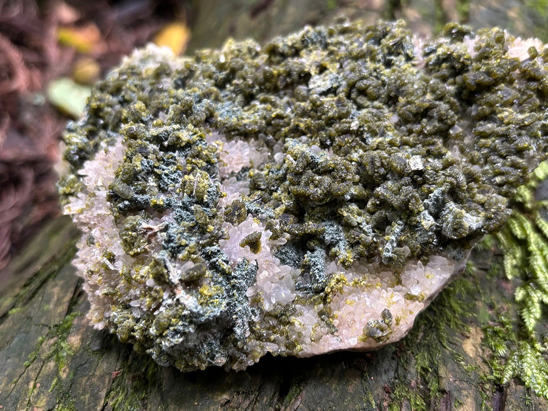 四川省産 エピドート ( 緑簾石 ) with 水晶 クラスター /Epidote with