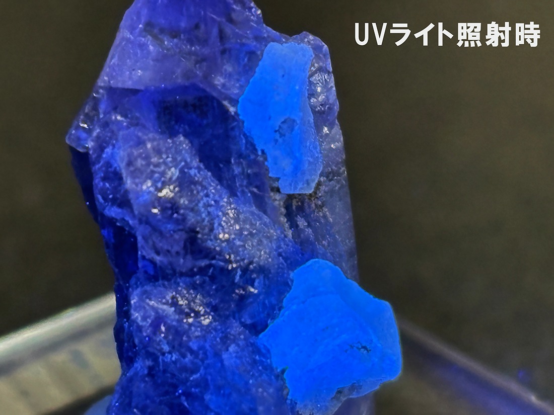 メレラニ鉱山産 タンザナイト ( 灰簾石 ) / Tanzanite