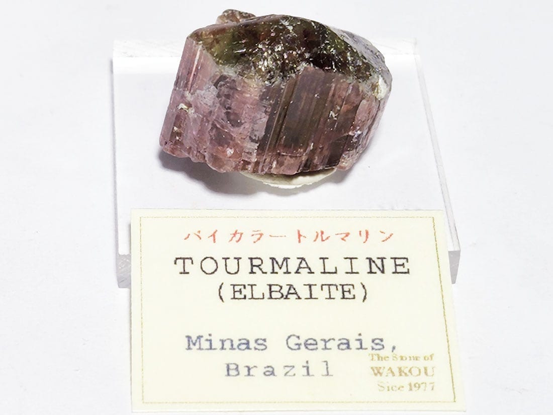 （T10）ブラジル産バイカラーリチア電気石 ブラジル産バイカラートルマリン/Bicolor Tourmaline (リチア電気石)