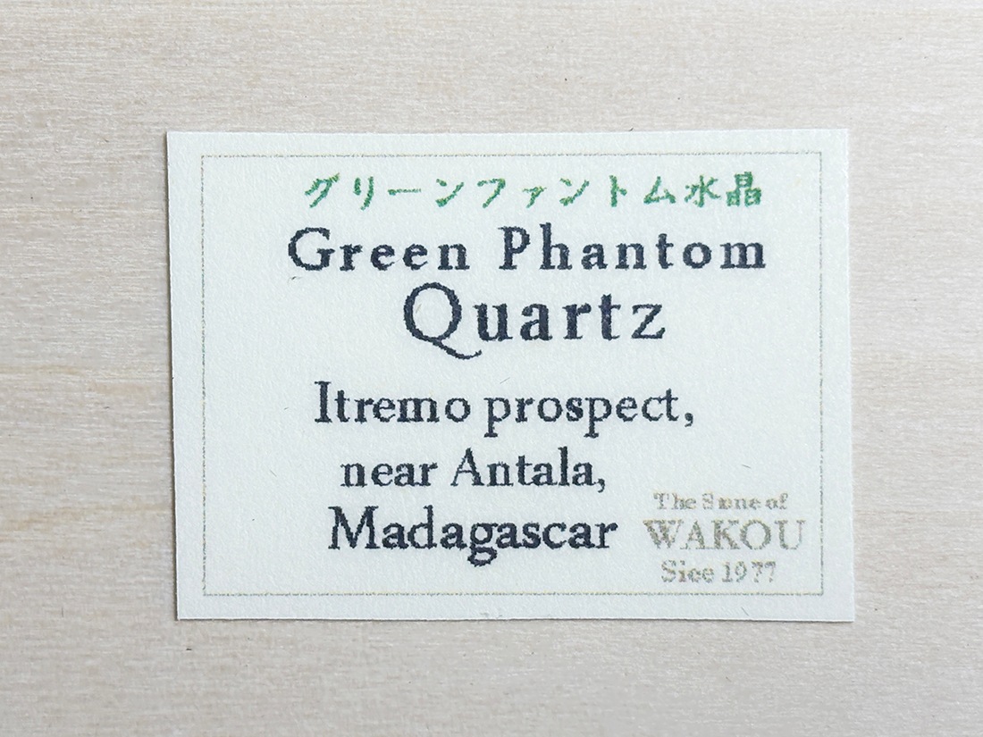 マダガスカル産 グリーンファントムクォーツ / Green Phantom Quartz