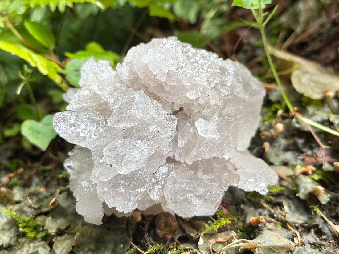 インド マニハール産 ヒマラヤ水晶 / Himalayan Quartz Crystal