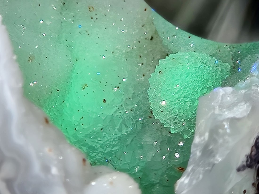 カルテル　ニッコウ カルセドニー 352(蛍光) ニューメキシコ州 - 鉱物標本・隕石標本